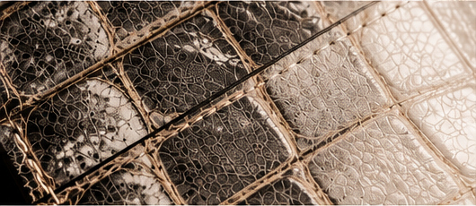 Macro detail of the crocodile leather grain